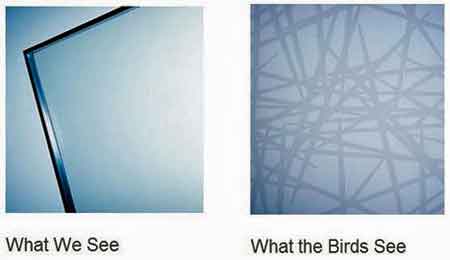ornilux-mikado-bird-friendly-glass.jpg