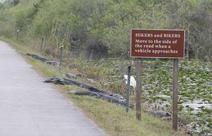 hiker_biker_sign-crocs.jpg