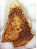 VMary-GrilledCheese.jpg