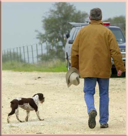 bush-pointer.jpg