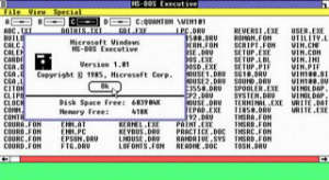 desktop_evolution_1985_windows1.jpg