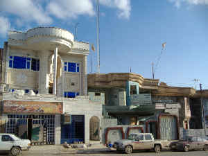 suli_01.jpg