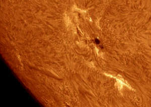 sunspot-875-murner.jpg